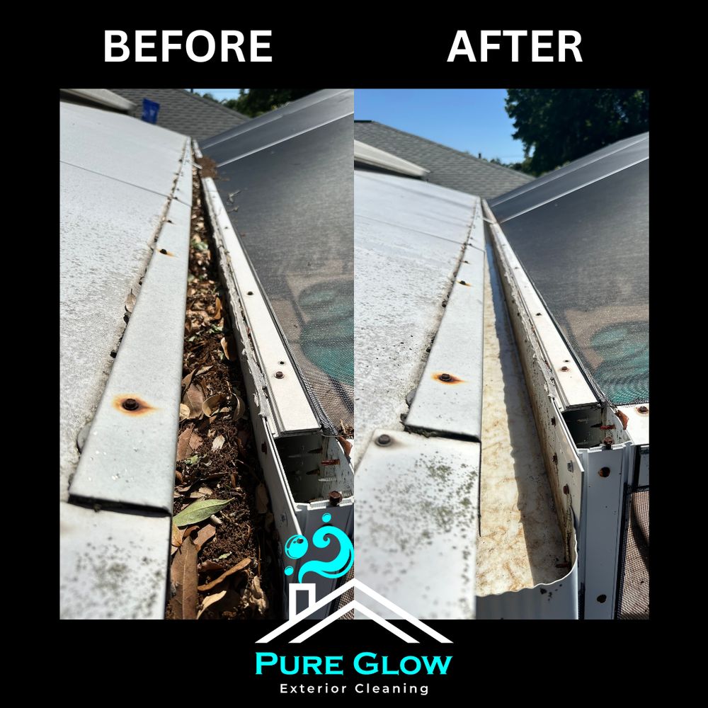 Pure Glow Exterior Cleaning