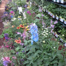 Holly Acres Nursery And Garden Center 31 Photos 10 Reviews Photo Of Holly Acres Nursery And Garden Center Elizabeth Co United States