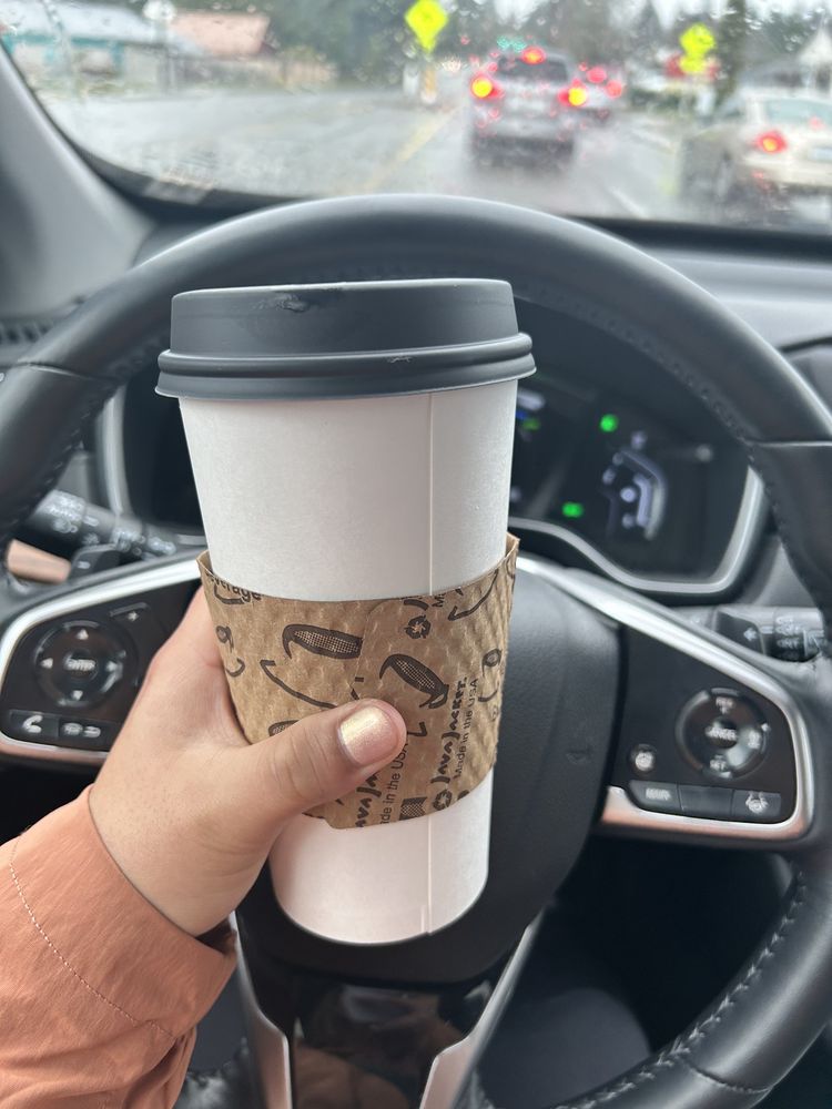 Ladybug Bikini Espresso 