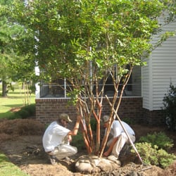 Atlantic Coast Landscape Company 11 Photos Landscaping 203 A Photo Of Atlantic Coast Landscape Company New Bern Nc United States