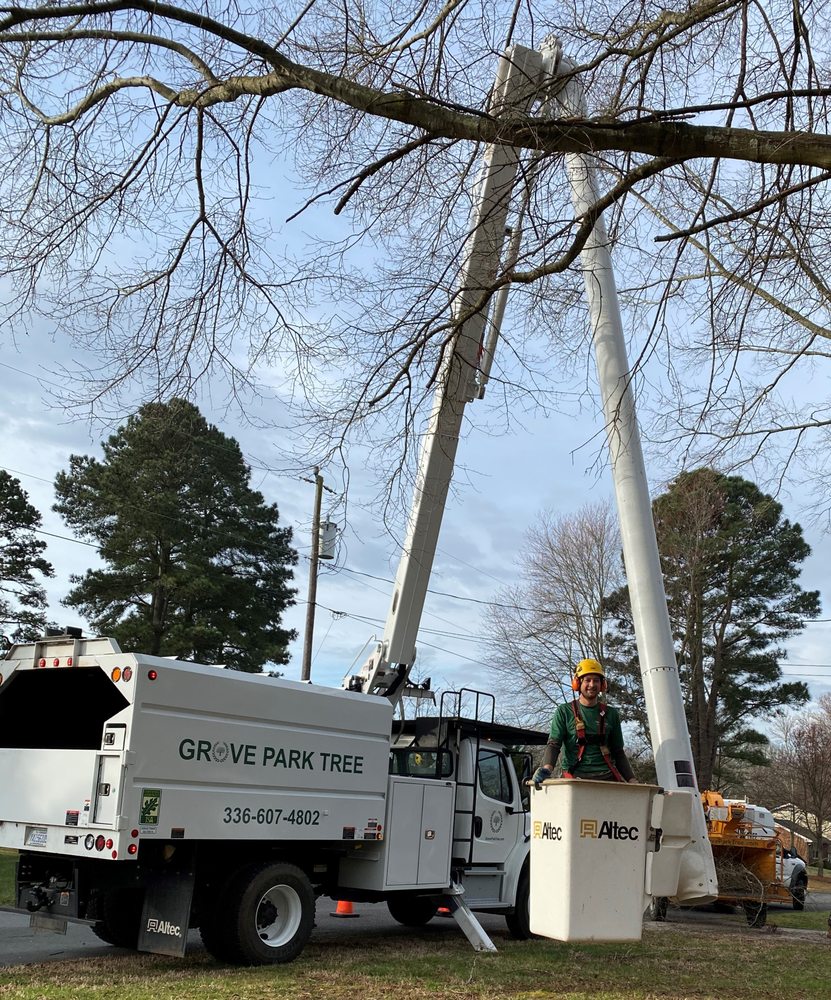 Grove Park Tree Care