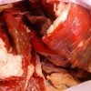 Oaxaquena Triqui
