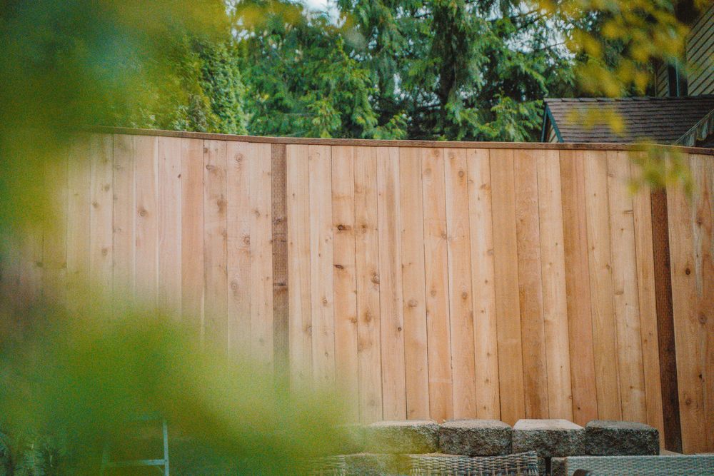 Milton Cleanup & More