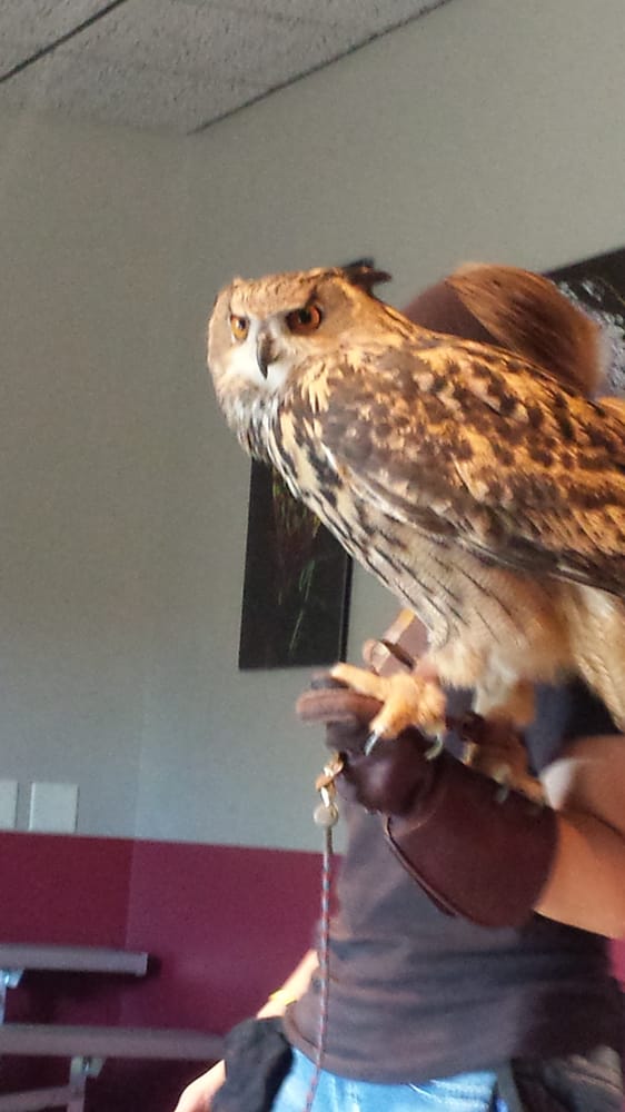 Reptile Gardens 33 Photos & 37 Reviews Museums 8955 S Hwy 16