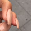 Ms