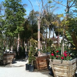 Calloway Nursery Closed Nurseries Gardening 2828 Dr Photo Of Calloway Nursery Bakersfield Ca United States