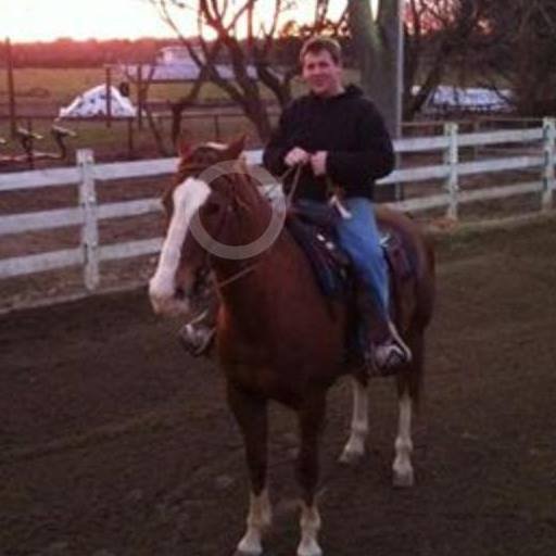 Horses For Lease Long Island Ny Horses For Lease Long Island Ny