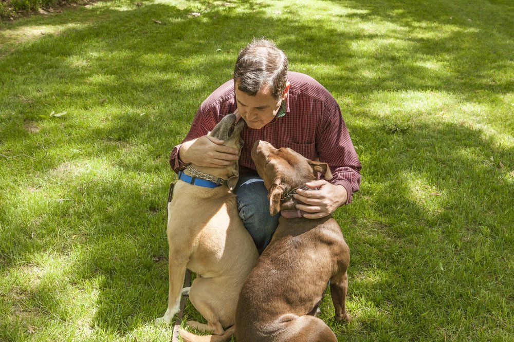 Dog Training Lithia Fl Dog Training Lithia Fl