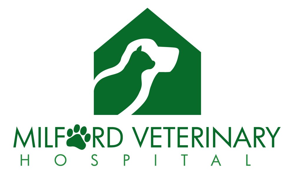 Milford Veterinary Hospital 12 Reviews Veterinarians 204 Elm St