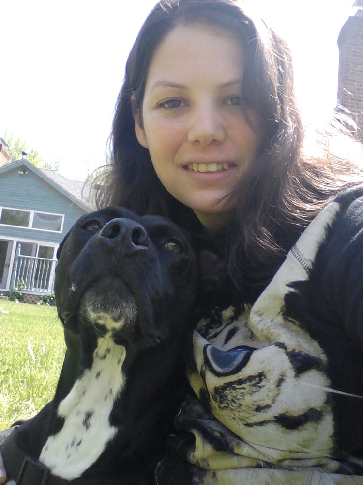 Aspca Dog Training Certification Aspca Dog Training Certification