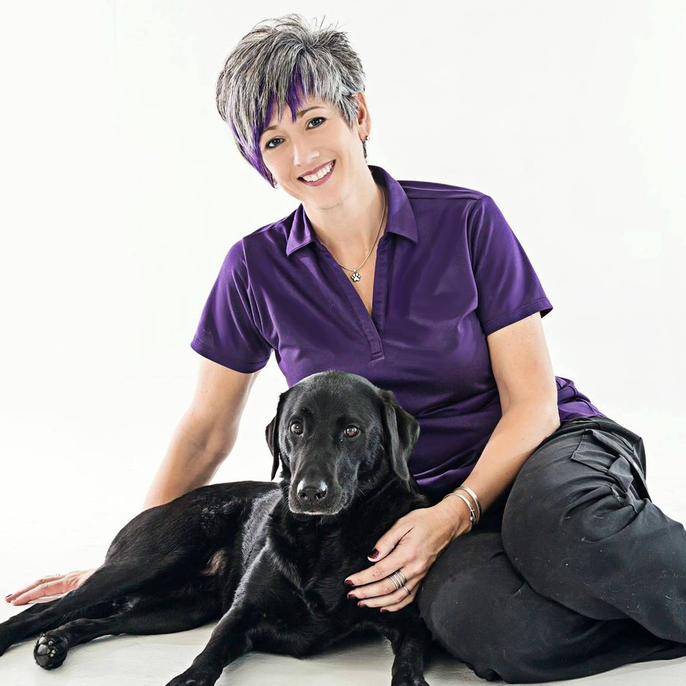 Dog Training Schools In Southern California Dog Training Schools In Southern California