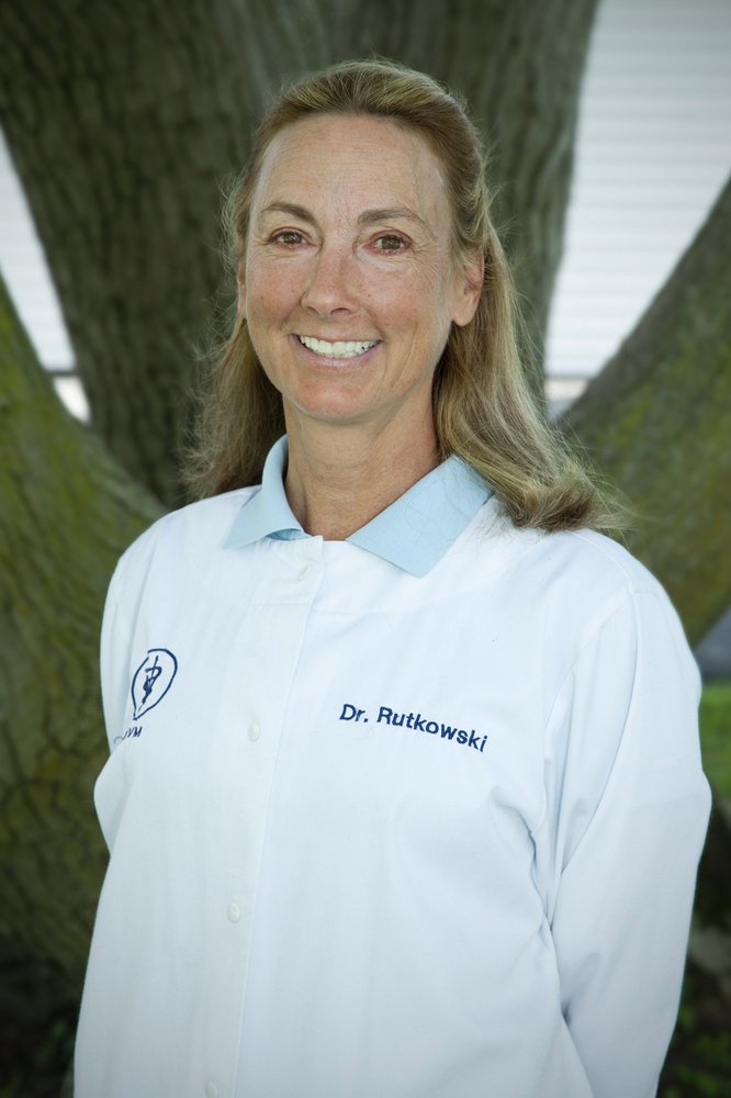 Judy Rutkowski, DVM Veterinarians 2640 Walbert Ave, Allentown, PA