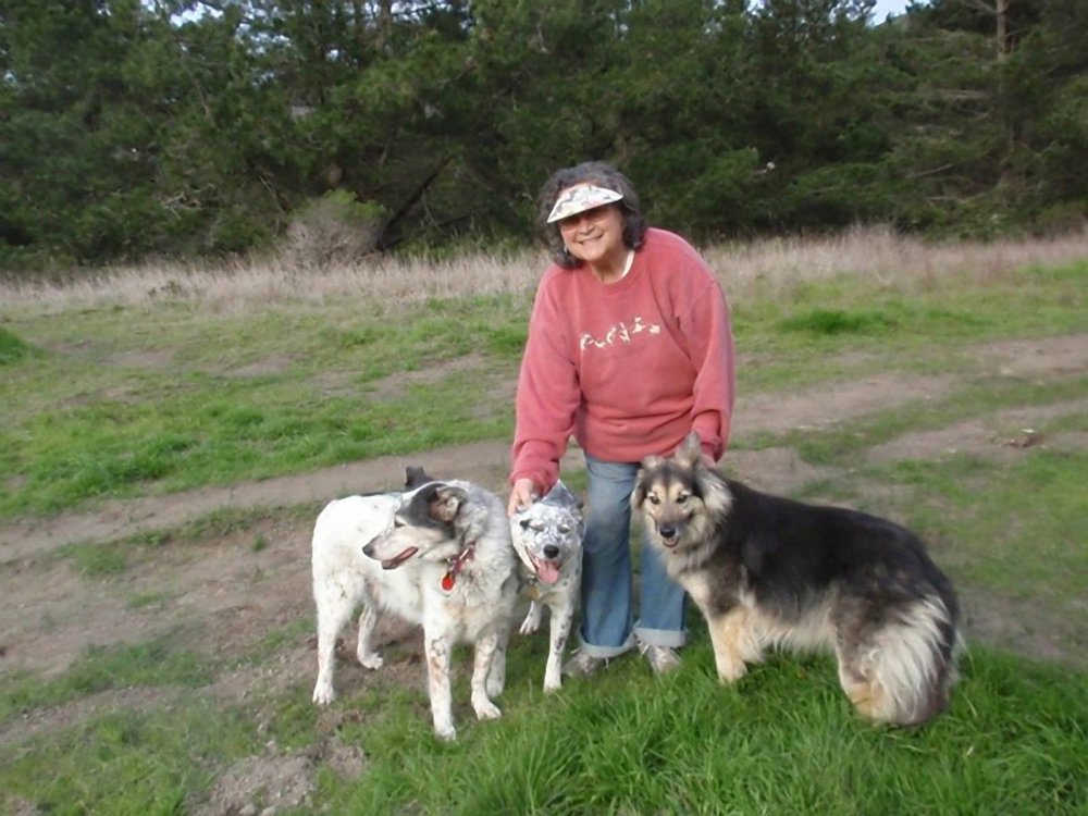 Best Dog Boarding In Northern California Best Dog Boarding In Northern California