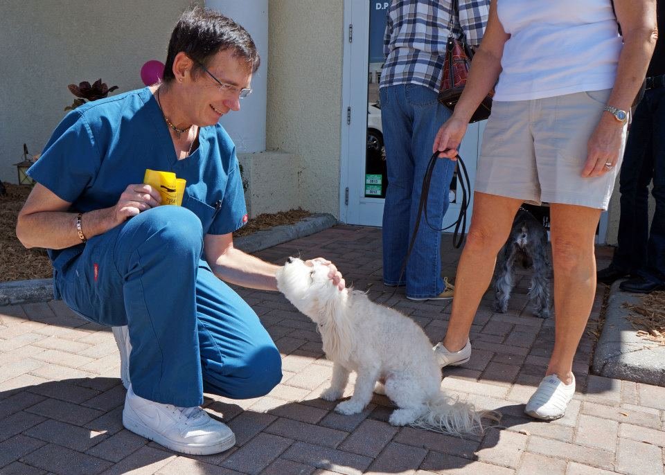 Animal Medical Clinic 13 Photos Veterinarians 324 Cross St, Punta