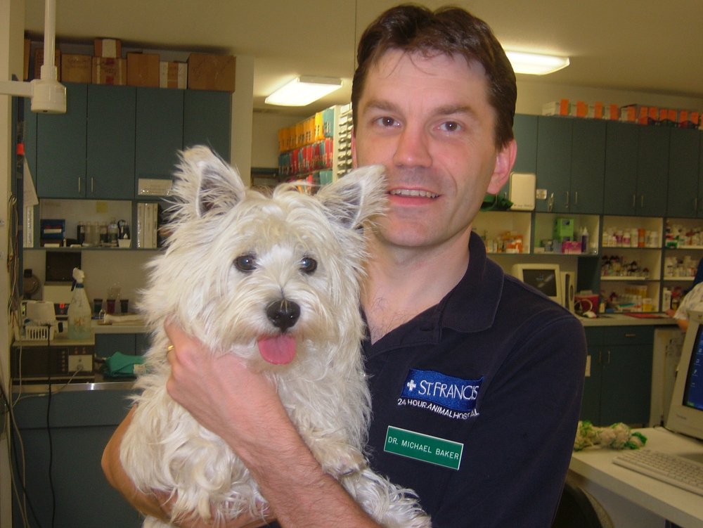 st francis 24hr animal hospital