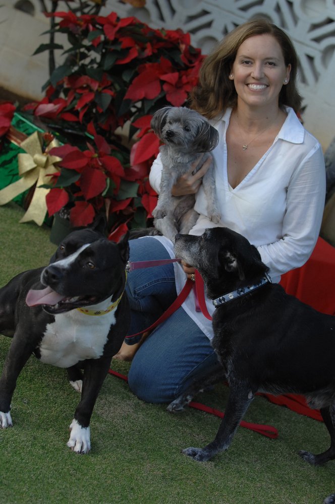Dog Training Boarding School Wisconsin Dog Training Boarding School Wisconsin