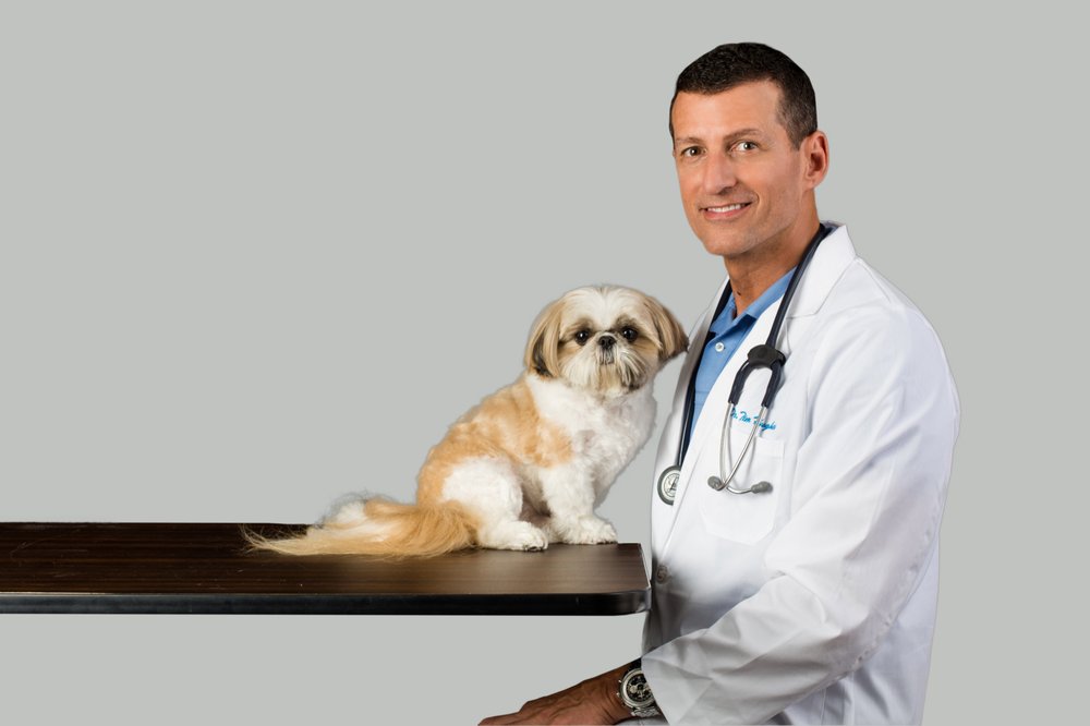 Pet Medical Center of Boca Raton Veterinarians 8903 Glades Rd, Boca