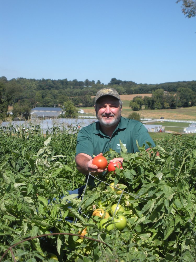 Miller Plant Farm Temp. CLOSED 11 Photos Nurseries