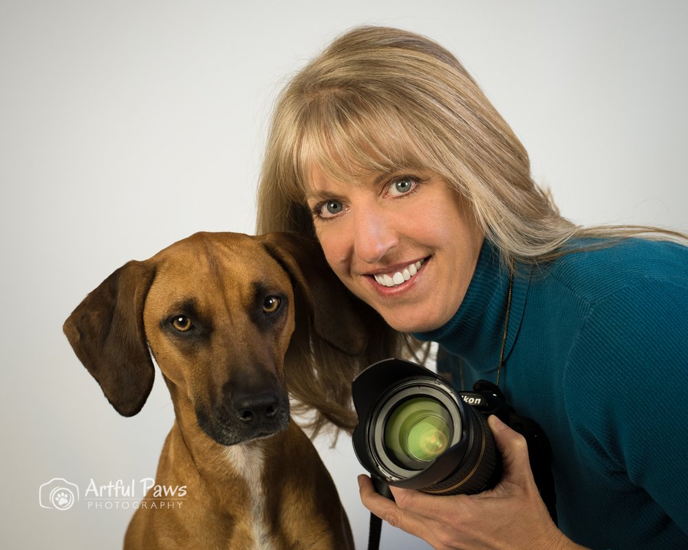 The Artful Dog Studio Reviews The Artful Dog Studio Reviews