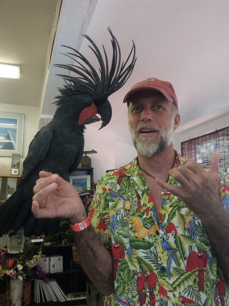 The Bird Guy 43 Photos Party & Event Planning Honolulu, HI