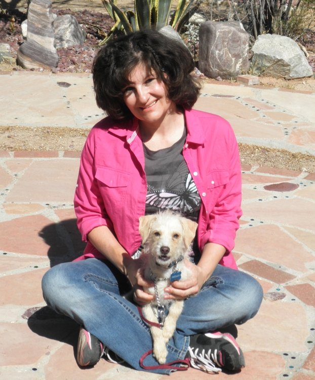 Dog Training Boarding Tucson Az Dog Training Boarding Tucson Az