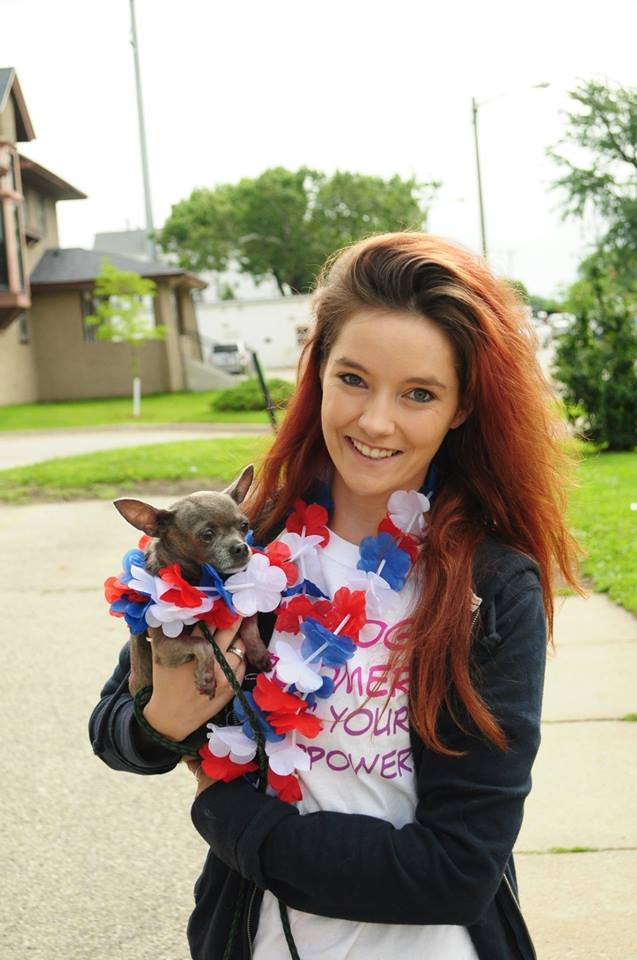 La Bella Pet Spa Cedar Rapids La Bella Pet Spa Cedar Rapids