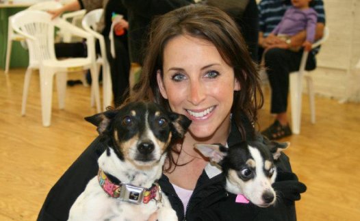 Dog Walking Services Chicago Suburbs Dog Walking Services Chicago Suburbs