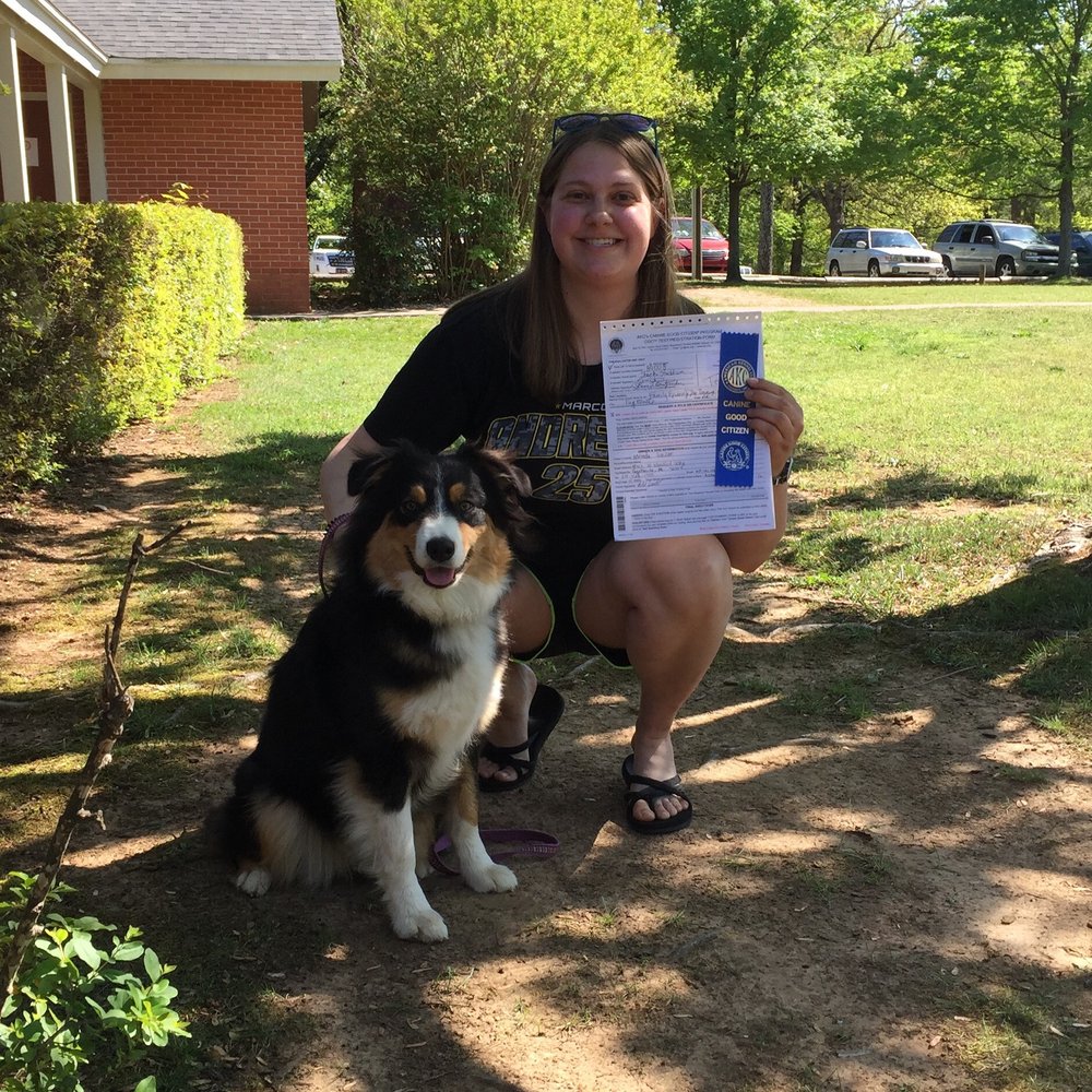 Dog Training Fayetteville Ar Dog Training Fayetteville Ar