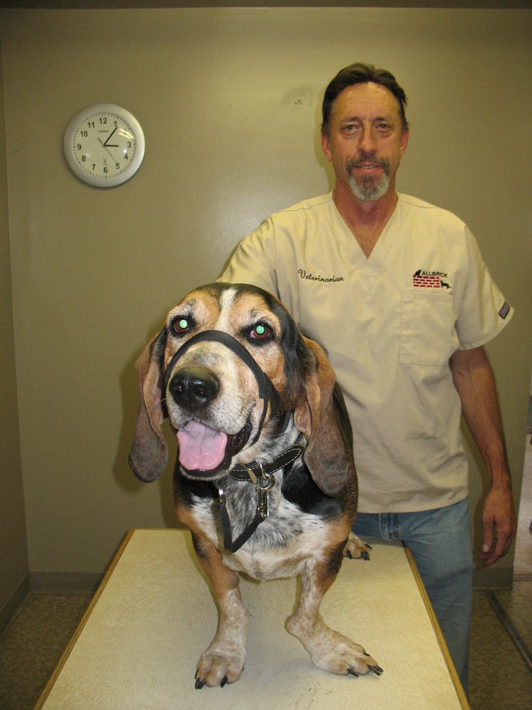 Allbrick Veterinary Clinic 16 Photos & 32 Reviews Veterinarians