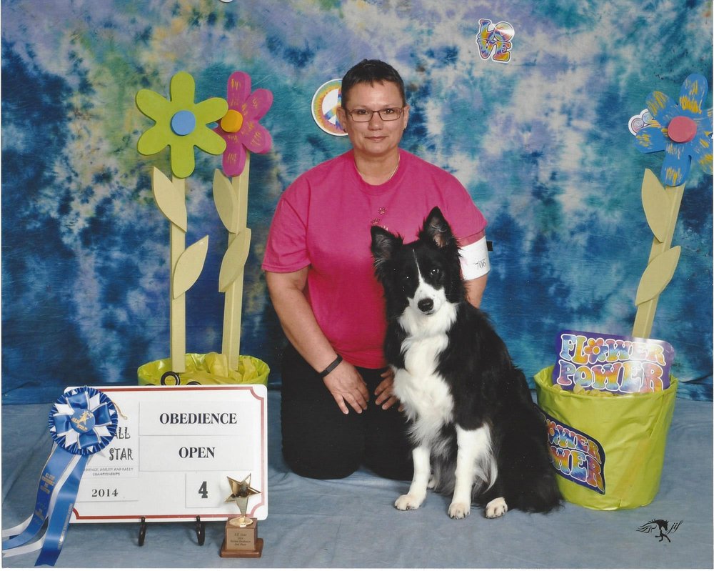 Top Dog Obedience Training Nj Top Dog Obedience Training Nj