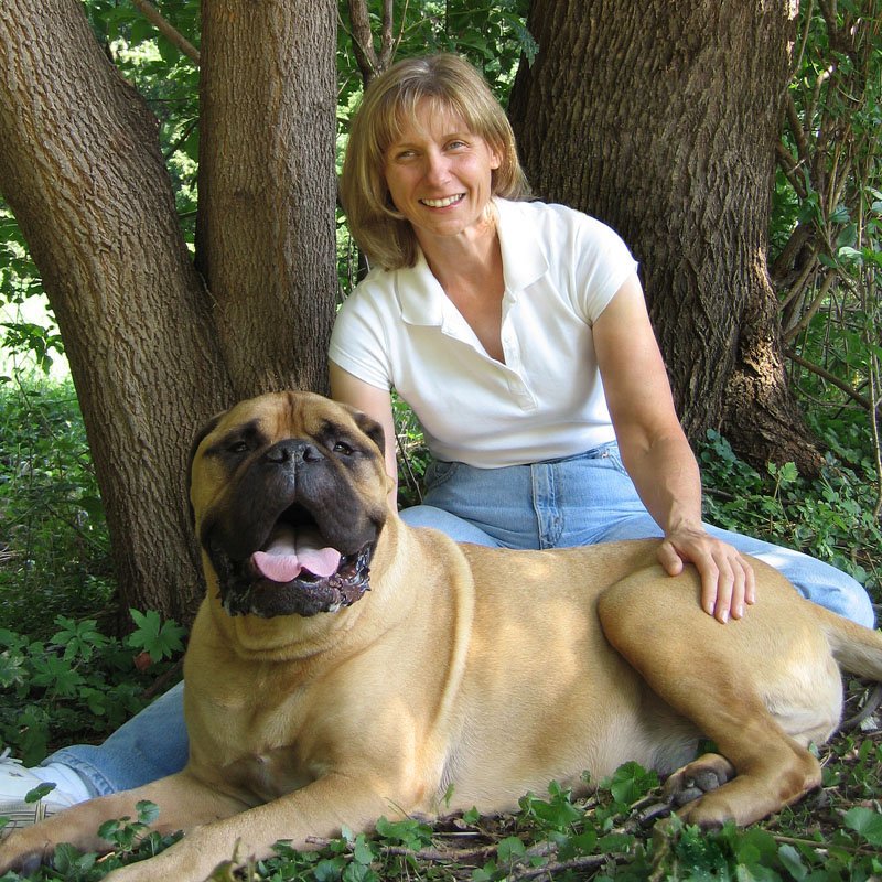 Dog Training Classes Lincoln Ne Dog Training Classes Lincoln Ne