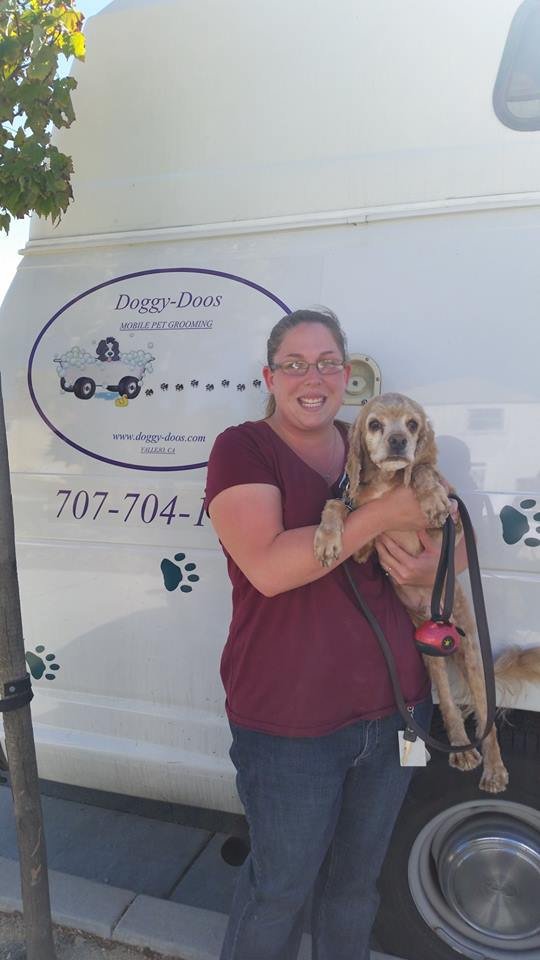 DoggyDoos Mobile Pet Grooming 15 Photos & 12 Reviews Pet Groomers