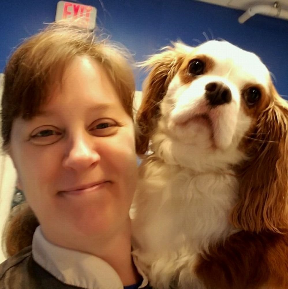 Personal Dog Grooming By Ruth 26 Photos Pet Groomers 34121 US Rt 45, Third Lake, IL