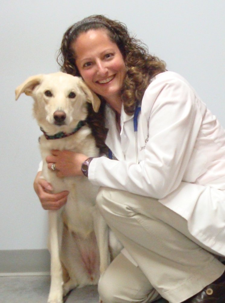 Ponemah Veterinary Hospital Veterinarians 199 NH101, Amherst, NH