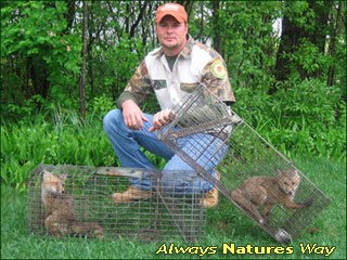 Always Nature S Way Wildlife Removal Round Lake Il Always Nature S Way Wildlife Removal Round Lake Il