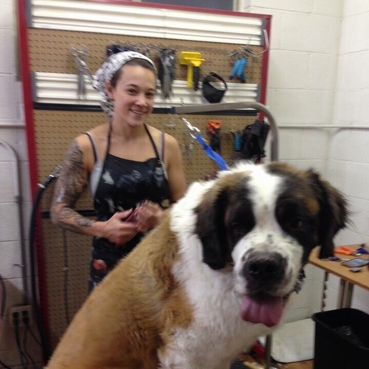 Just Dog Pet Grooming 47 Photos & 44 Reviews Pet Groomers 1845