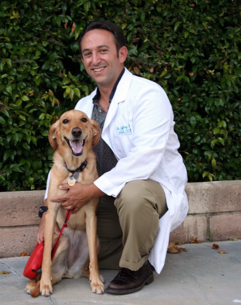 OC Veterinary Medical Center 267 Photos & 243 Reviews Veterinarians