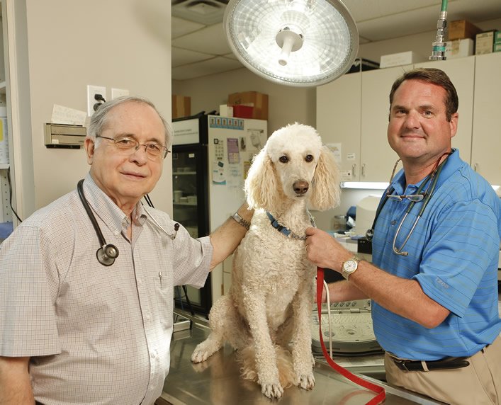 Jonesboro Animal Hospital 20 Photos Veterinarians 2832 Hwy 138 E