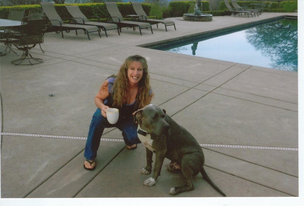 Faithful Companion Dog Rescue Reviews Faithful Companion Dog Rescue Reviews