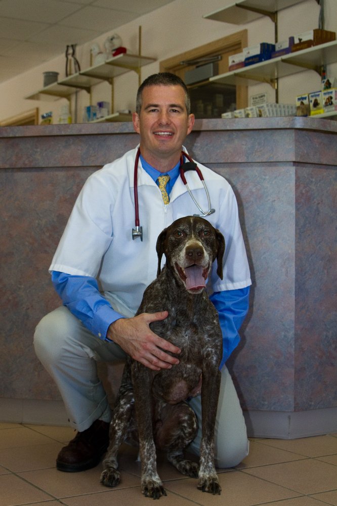 Dog Training Noblesville Dog Training Noblesville