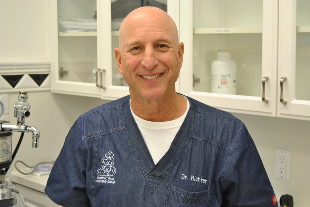 Sherman Oaks Veterinary Group 96 Photos & 345 Reviews Veterinarians