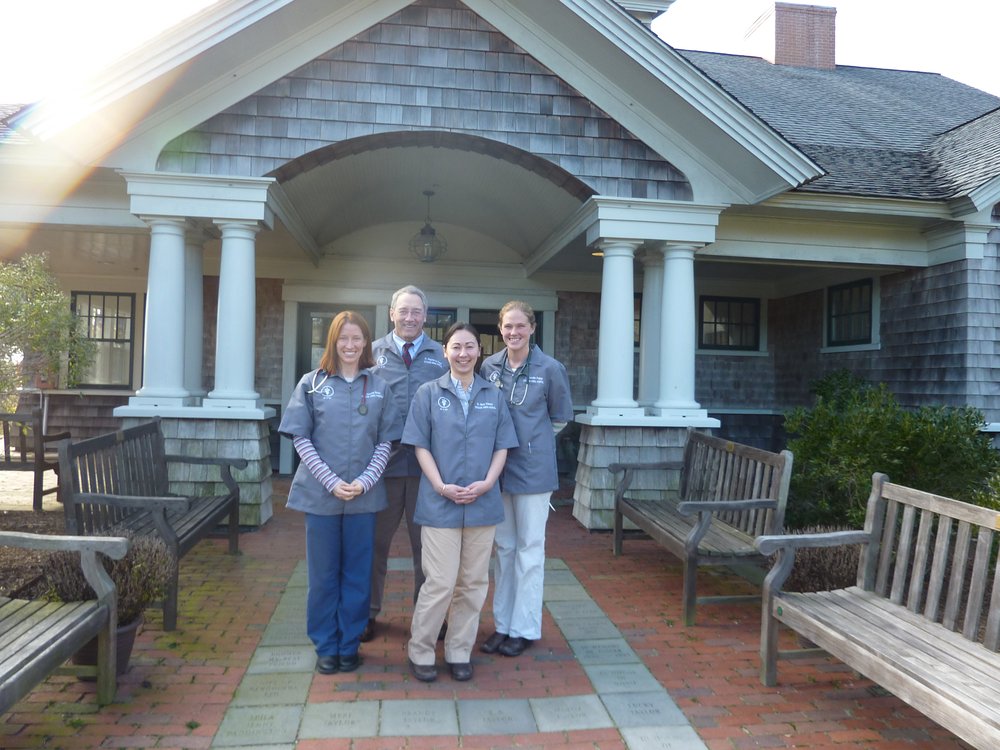 Offshore Animal Hospital Pet Boarding 11 Crooked Ln, Nantucket, MA Phone Number Yelp