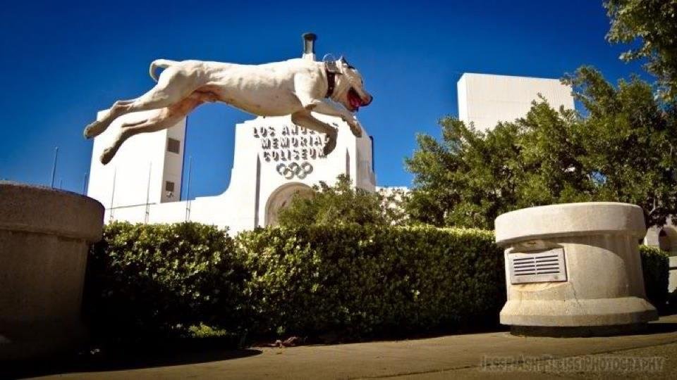 puppy socialization classes near me free socialization class every sunday read the details carefully los puppy socialization classes near me free socialization class every sunday read the details carefully los