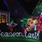 Peacock Lane Christmas Lights