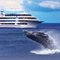 Star of Honolulu Welcomes Guests Aboard Hawaii's Most Popular Whale Watch Cruise