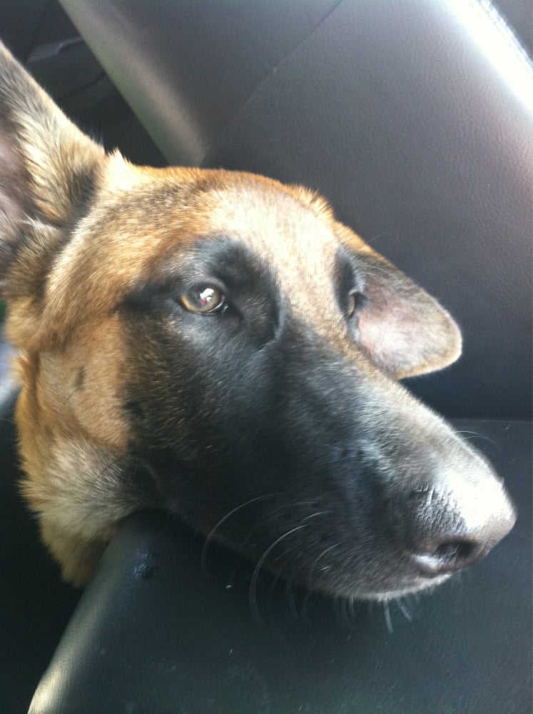 reviewer-profile-image