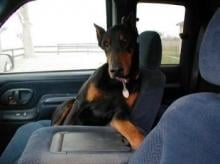 reviewer-profile-image