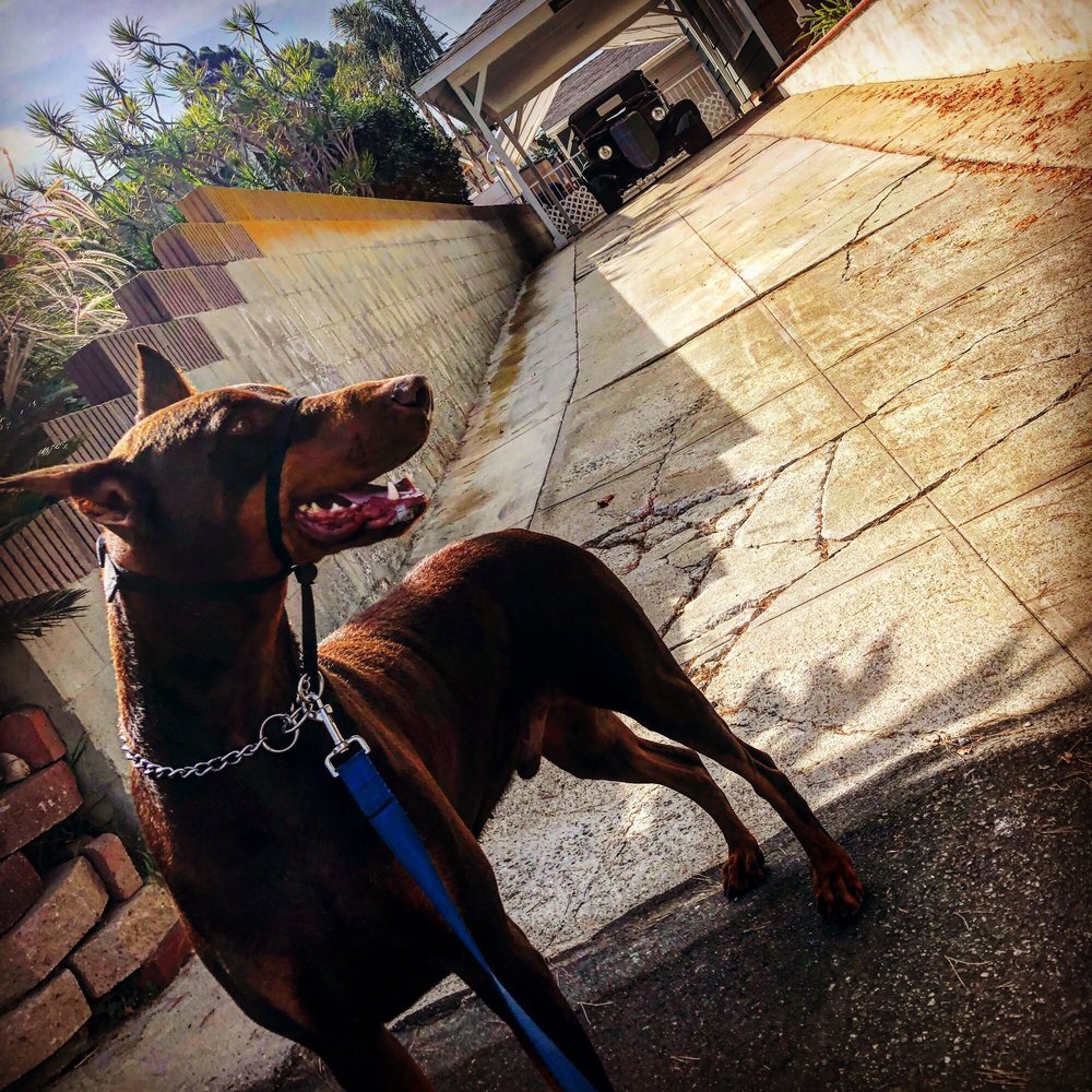 reviewer-profile-image