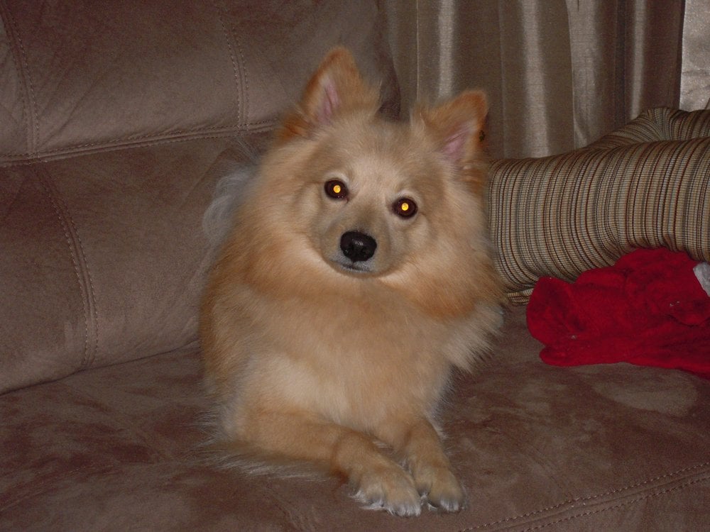 reviewer-profile-image