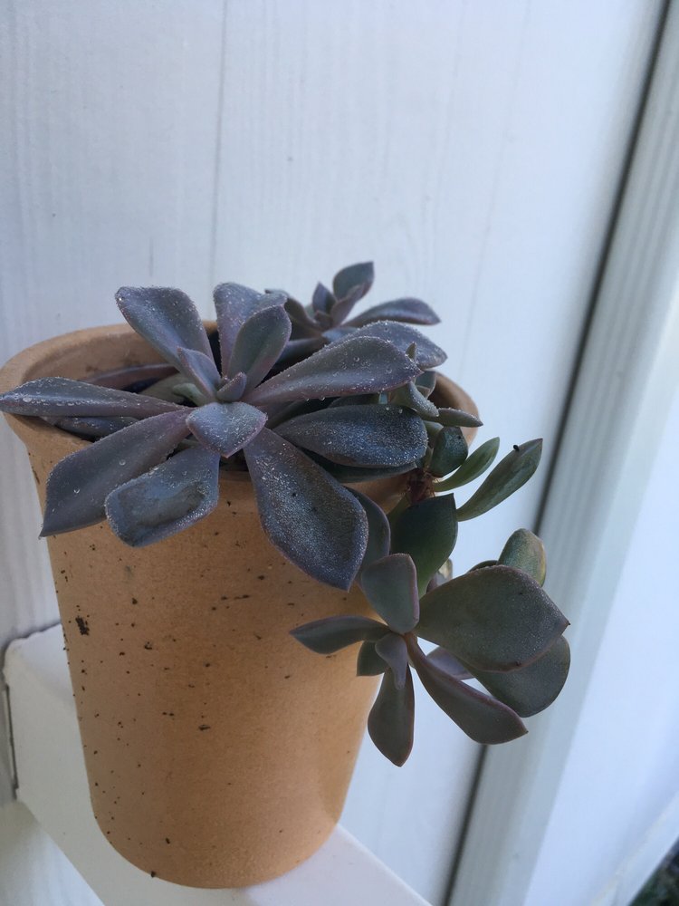 reviewer-profile-image